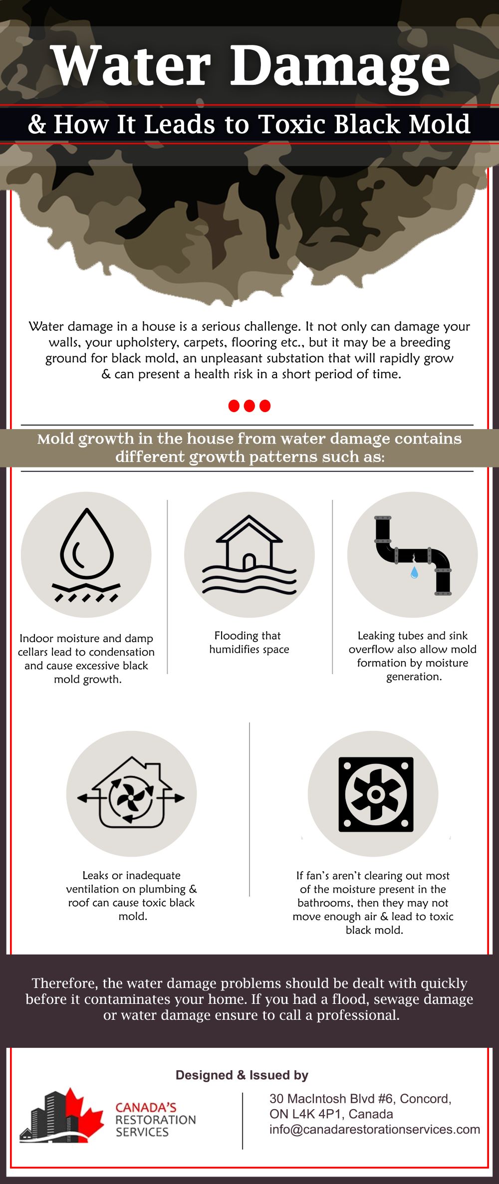 Black Mold The Aftermath of Water Damage